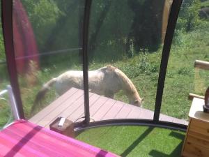 Ferme des baillards