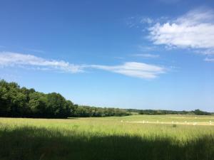 French Fields Luxury Glamping Original Mongolian Yurt