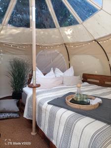 Glamping Altes Pastorat