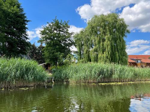 'Glamping' Angelzelt am See mit Steg und Boot (Mecklenburger Seenplatte)