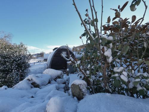 Glamping Hills
