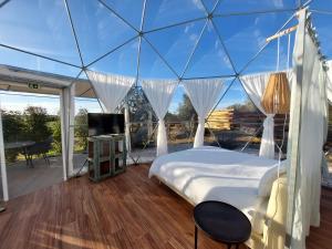 Glamping Skies - Adults Only