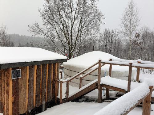 Idyllische Jurte in der Sächsischen Schweiz