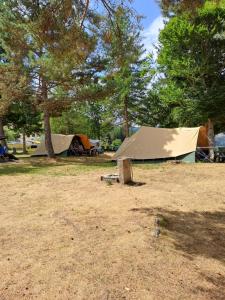 Ingerichte de waard tent 4 pp