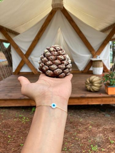 Kabaceira Glamping