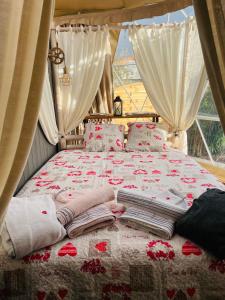 La bulle des coucous