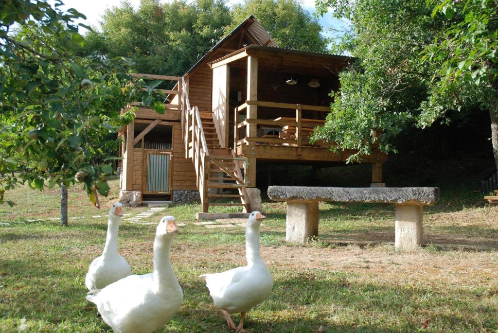 Tente de luxe La Cabane Du Verger La Pierre Saint Antoine Chemin de Champfroid 21580 Salives