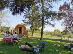 Tente de luxe La Cabane Insolite Rangereuse 85590 Puy-du-Fou Pays de la Loire