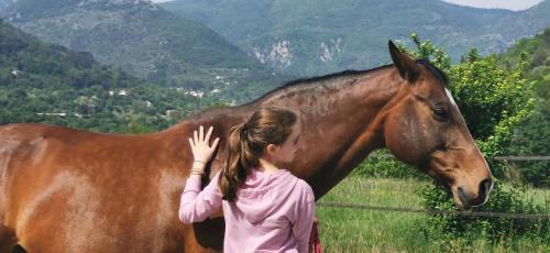 La Yourte des Champs