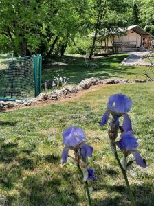 Tente de luxe Le lodge de La Boissière La Boissière 81140 Andillac Midi-Pyrénées