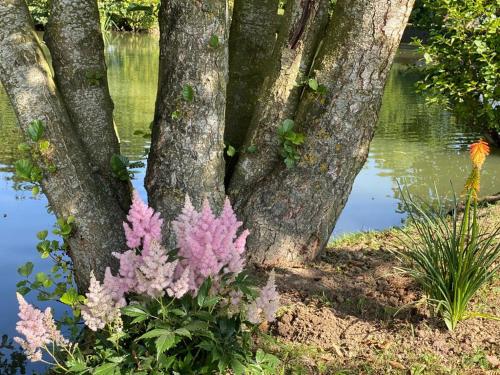 Le tipi de l Etang hébergement insolite
