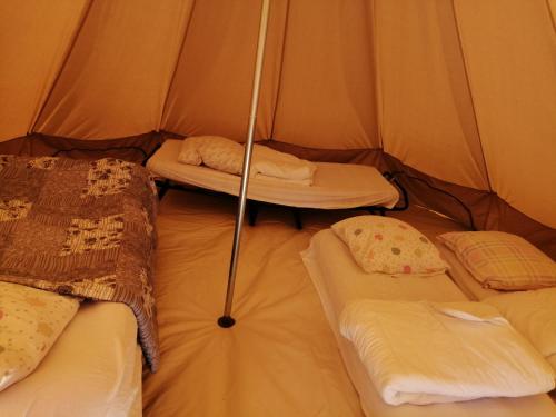 Le tipi familial