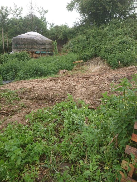 Les yourtes de Bascot 46230 Vaylats