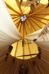 Levaltipis