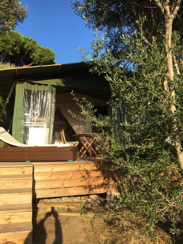 LODGES SAFARI LES LAURIERS SUR îLE DU LEVANT