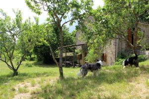 Tente de luxe Maison de Vignes de Tournemire Avenue H Puech 12250 Tournemire Midi-Pyrénées