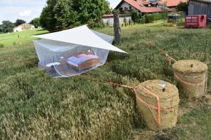 Open air, Bett im Kornfeld