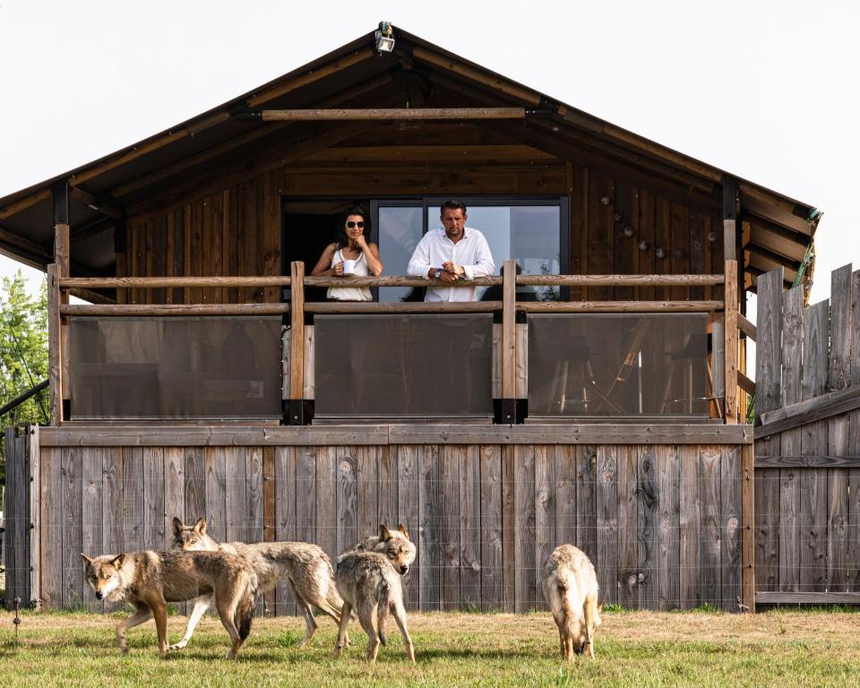 Tente de luxe Rendez-Vous en Terre Animale 10 Route de Nibelle 45530 Sury-aux-Bois