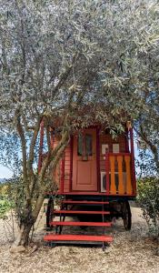 Roulotte Manon en Luberon