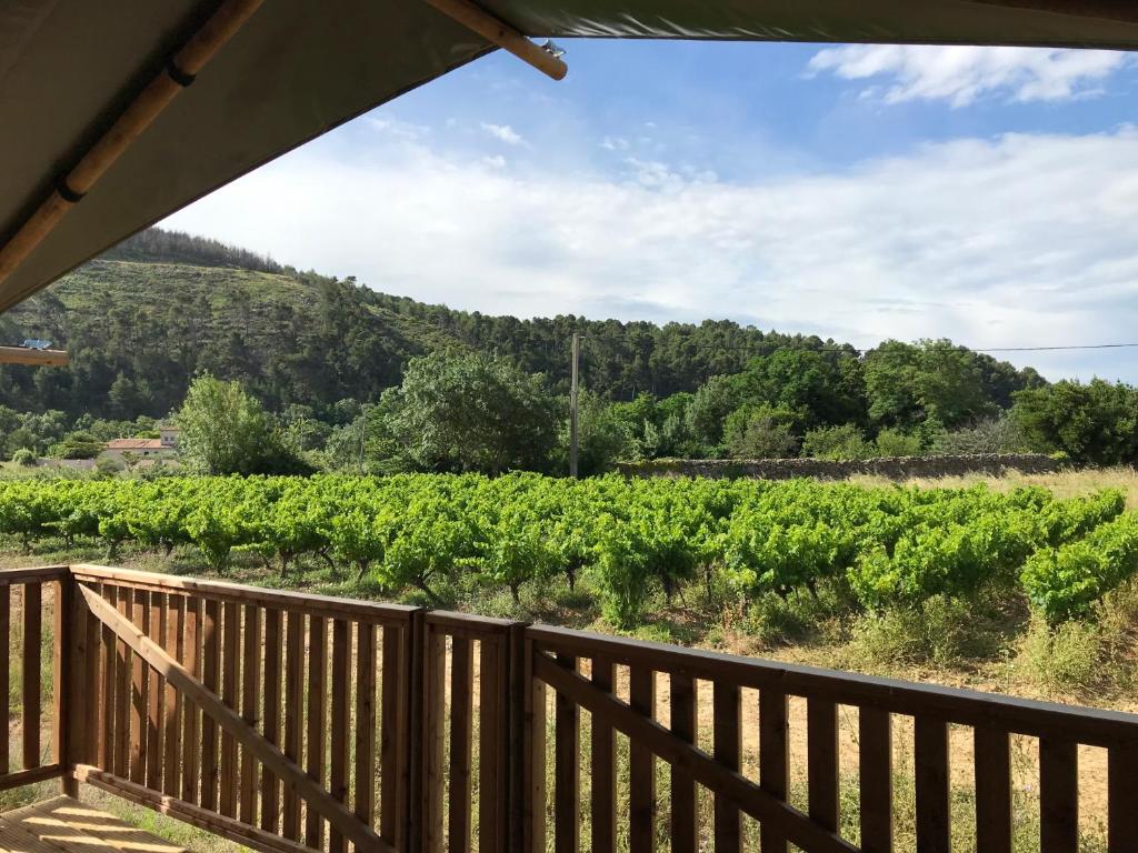 Safaritent Glamping de L'Olivigne Chemin de Saint-Michel, 11120 Bize-Minervois