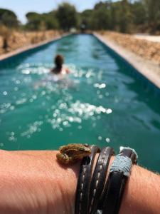 Sublim' Ecolodge
