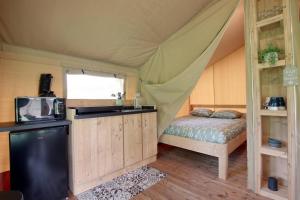TENTE SAFARI lodge FERME CARRIQUE