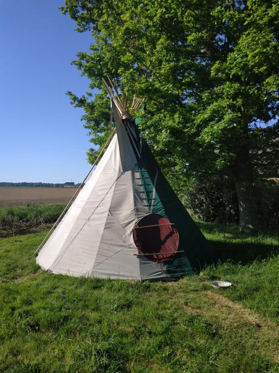 Thipi Khola Touche Balard, 35560 Bazouges-la-Pérouse