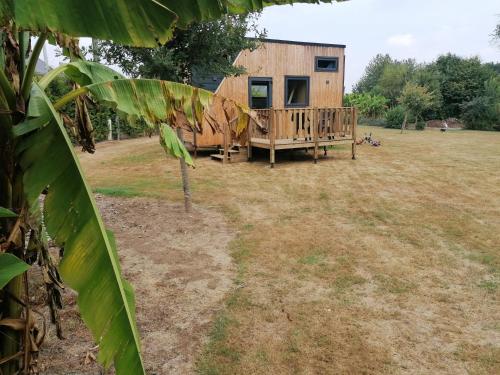Tiny house