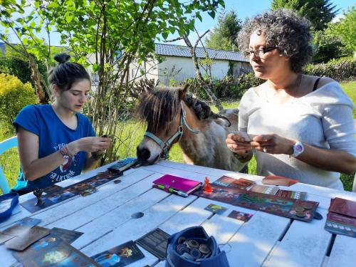 Tipi avec animaux pour famille nature