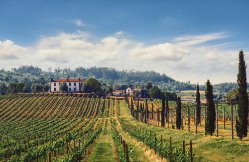 Terra Rosa Country House & Vineyards Ponte de Lima portugal