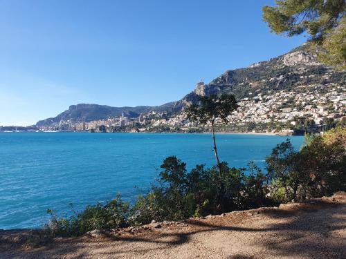 terrasse 60m2 180°vue mer Roquebrune-Cap-Martin france