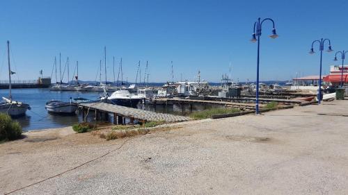 Terre et mer Hyères france