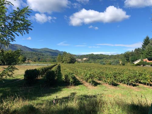 Terres de France - Le Domaine des Vans Chambonas france