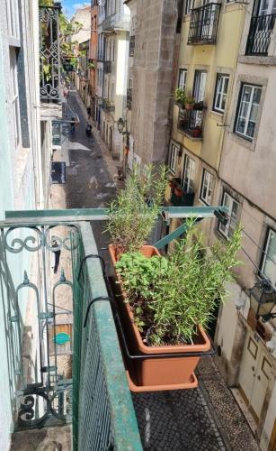 Séjour chez l'habitant THE BEST ROOM in bairro alto, center of lisbon Rua da Atalaia 55 Lisbonne