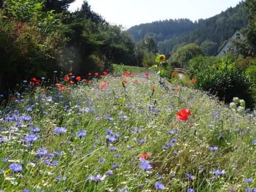 The Conscious Farmer Bed and Breakfast Sauerland Willingen allemagne