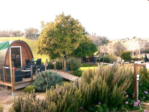 Séjour à la campagne The Gold Pod, relax and enjoy on a Glamping house Rua da Esperança, Corredoura Corredoura