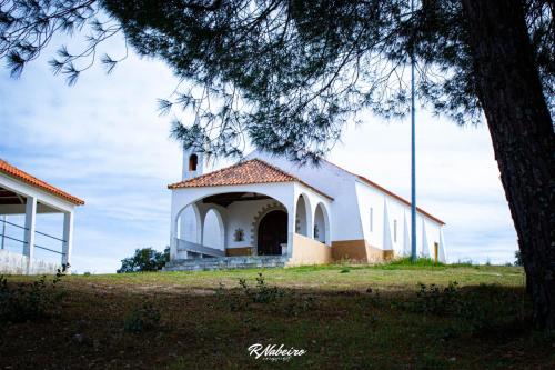 The Maggie Farm Aranhas portugal