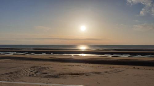 The Soothing Turtle Fort-Mahon-Plage france