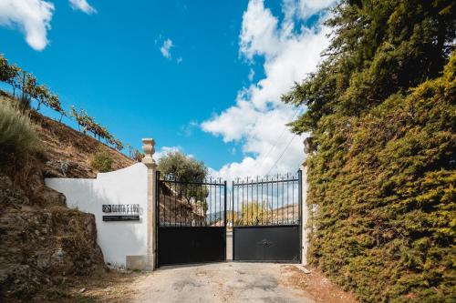 The Vine House - Quinta São Luiz Tabuaço portugal