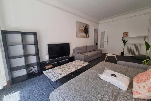 Appartement The zenitude of Shepherds #DO 21 rue des Bergers Grenoble