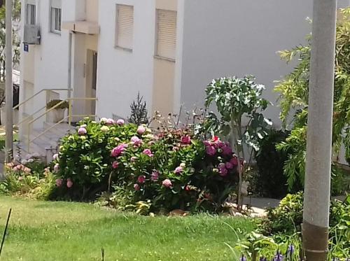 Appartement Tiagos Apartament Passeio \ Faro