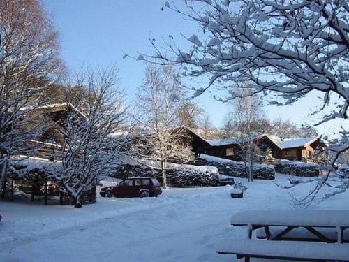 Chalet Tidy chalet with fireplace, located in wooded area  Schönecken