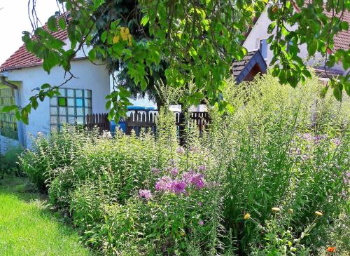 Maisons de vacances tierfreundliche Ferienhaeuser Qual Qualzow 5 Qualzow