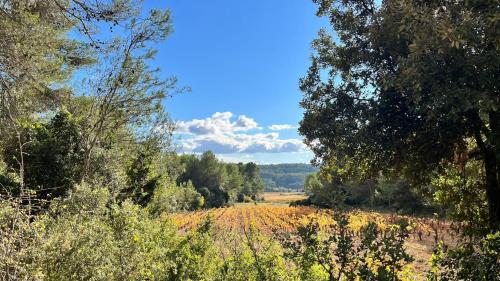 Tiny House Belleraze Saint-Jean-de-Minervois france