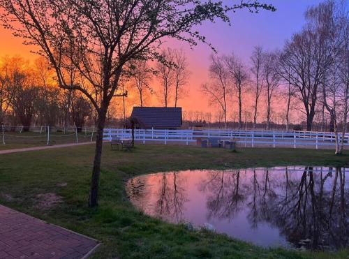 Tiny House Südliches Friesland-FRI Natur erleben Bockhorn allemagne