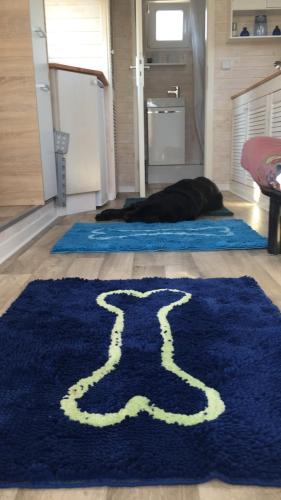 Tinyhouse Bamberg Pettstadt allemagne