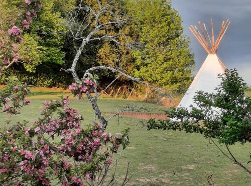 Tipi avec animaux pour famille nature Surdoux france