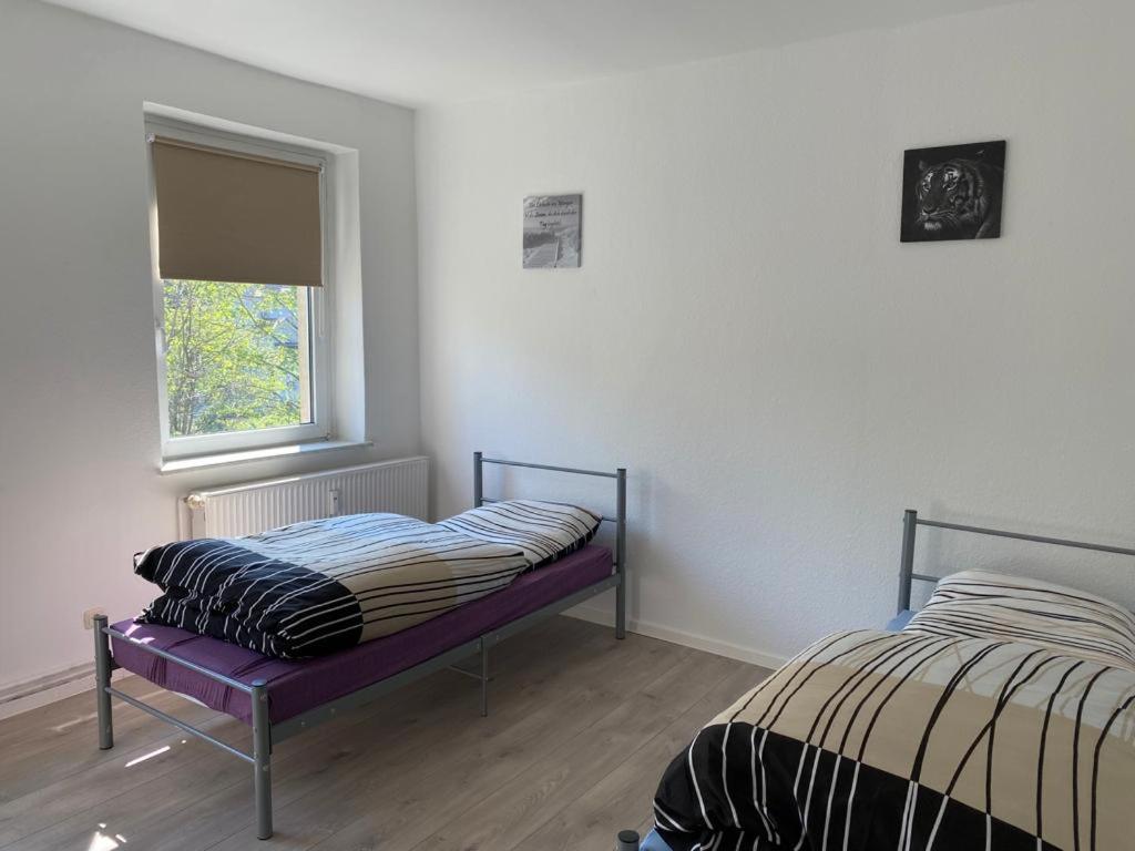 Appartement TOK IMMO Monteurswohnung 1 Theodor-Körner-Straße, 06772 Gräfenhainichen
