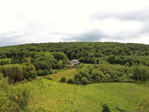 Totale Ruhe im Wald Pünderich allemagne