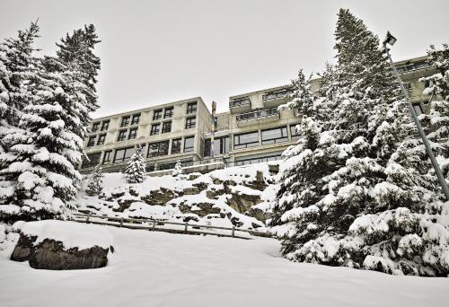 Totem, Friendly Hotel Flaine france